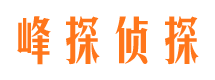 琼结私家调查公司